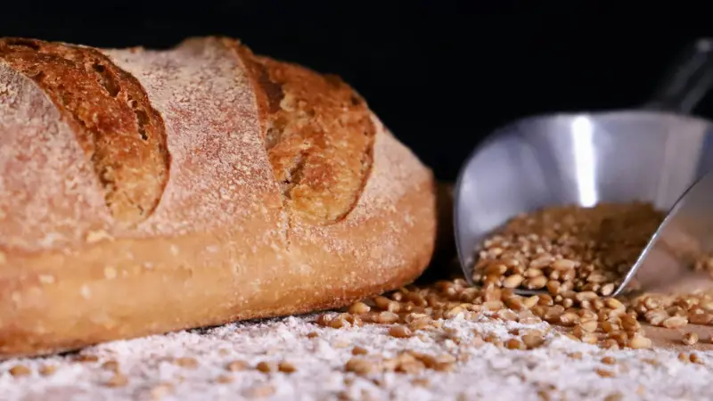 Rustik el yapımı ekmek — buğday taneleri ile