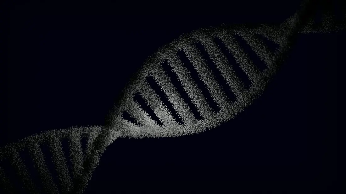 DNA sarmal görselleştirmesi — genetik
