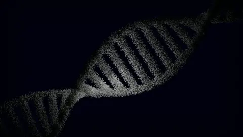 DNA sarmal görselleştirmesi — genetik