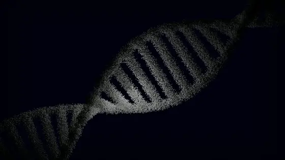DNA sarmal görselleştirmesi — genetik